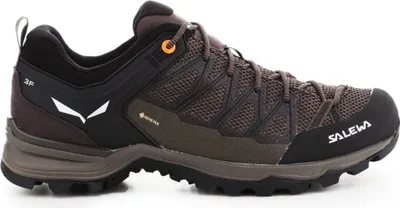 Zdjęcie produktu dla Salewa Buty Mtn Trainer Lite Gtx, 613617512