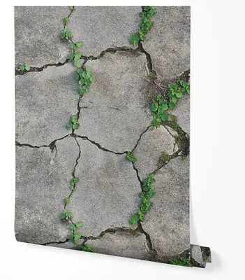 Produktbild von Selbstklebende Tapete Möbelfolie Steinoptik Rissiger Beton Natur Look Wandtapete Wohnzimmer Schlafzimmer Flur Küche Realistisch Grau Grün Pflanzen Effekt 5m x 0,5m