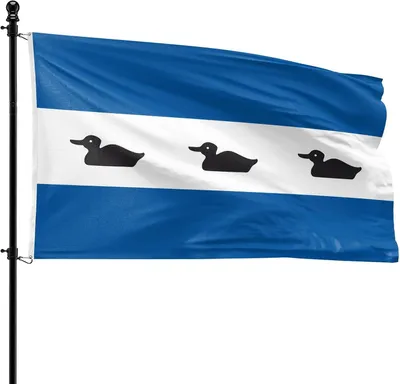 Imagen del producto de Bandera del municipio de Diemen, 90 x 150 cm, de poliéster, para asta de bandera