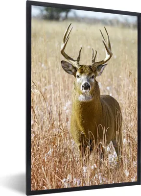 Produktbild von MuchoWow® Gerahmtes Poster Hirsche - Gras - Herbst - Tiere - Natur - Geweih 40x60 cm - Poster mit Schwarzem Bilderrahmen Wandposter Rahmen Foto Bilder - Papierdruck - Wandbilder