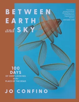 Image de Between Earth and Sky