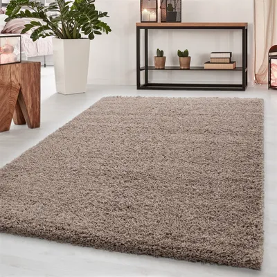 Image de Tapis DREAM Shaggy BEIGE 80 X 150cm rectangle
