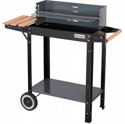 Image de Gril de jardin avec tablette latérale - Master Grill MG 909