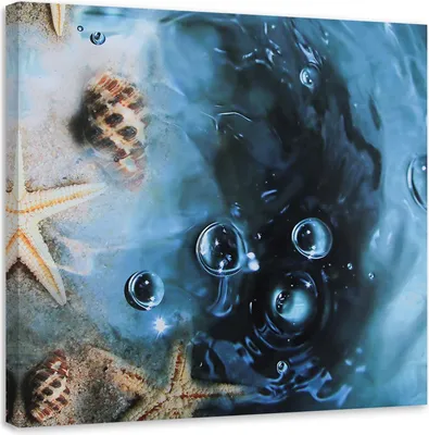 Produktbild von Leinwandbild muscheln in blauem wasser 50x50 cm Feeby blau wandbild bereit zum aufhängen
