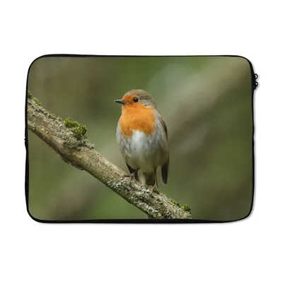Produktbild von MuchoWow® Laptop Hülle 13 Zoll Vogel - Rotkehlchen - Zweig - Pflanzen Laptoptasche - Laptophülle - Sleeve - Rundumschutz