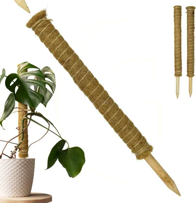 Produktbild von Erweiterbare Pflanzenstütze mit Kokosfilz – Nachhaltige Rankhilfe 60 cm, Menge:2