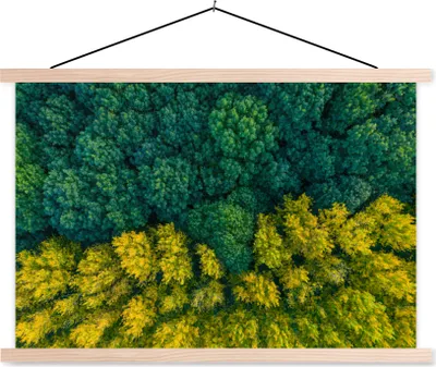 Produktbild von MuchoWow® Textilposter Wald - Bäume - Gelb - Grün 60x40 cm mit holzfarbenen Rahmen - Bilder