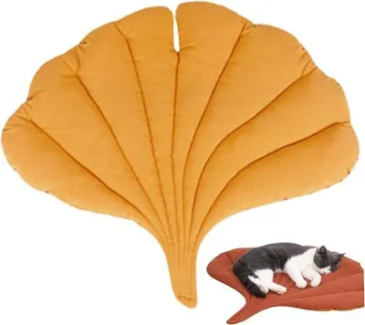 Produktbild von Kissen für Katzen, bladformiges Kätzchenbett, zweiteiliges, waschbares, flaches Kätzchenbett, PP-Katzenmatte, Katzenbed, Katzenkissen, Katzenbett, Katzenbed, Katzenmatte, Katzenkissen, Katzenbett, Katzenbed, Katzenmatte, Katzenkissen, Katzenbett, Katzenbed, Katzenmatte, Katzenkissen, Katzenbett, Katzenbed, Katzenmatte, Katzenkissen, Katzenbett, Katzenbed, Katzenmatte, Katzenkissen, Katzenbett, Katzenbed, Katzenmatte, Katzenkissen, Katzenbett, Katzenbed, Katzenmatte, Katzenkissen, Katzenbett, Katzenbed, Katz