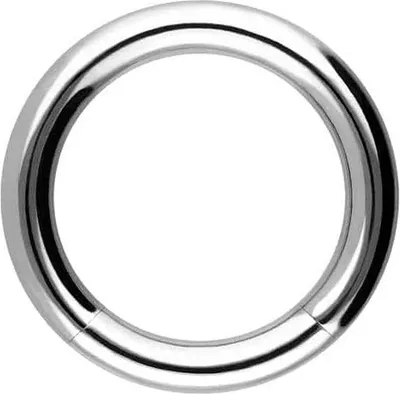 Produktbild von Intim-Piercing, Septum Piercing Chirurgenstahl Segmentring Silber Innendurchmesser: 8mm + Stabstärke: 1,6mm