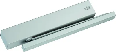 Zdjęcie produktu dla Dorma TS 99 FL, Natynkowy samozamykacz (góra ościeżnicy), Drzwi wewnętrzne, Dla praworęcznych, Drzwi jednoskrzydłowe/Drzwi dwuskrzydłowe, 125 cm, Stal nierdzewna