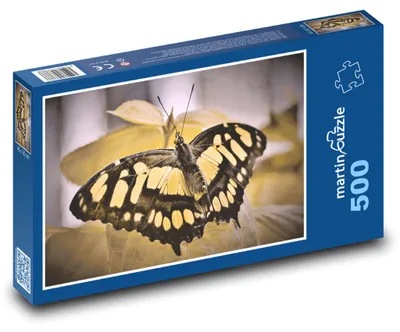 Obrázek produktu pro Puzzle 500 Motýl na exotickém květu - martinpuzzle