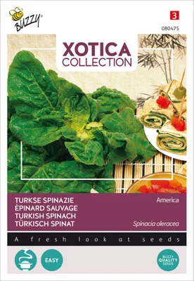 Produktbild von Türkisch Spinat | Spinatsamen von Buzzy Seeds
