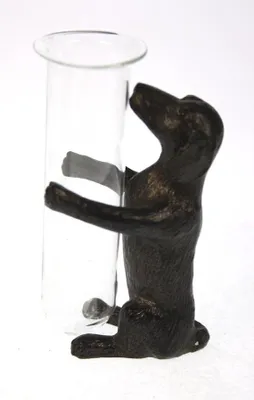 Imagen del producto de Meander, jarra para perros salchicha, color , 6,5 x 4,5 x 10 cm