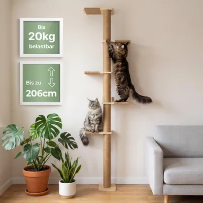 Produktbild von WOOWOOD Wandkratzbaum für Katzen, deckenhoch bis 206 cm, Massivholz & Jute
