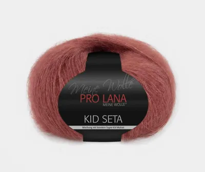 Produktbild von Pro Lana Kid Seta Uni 25g (09)
