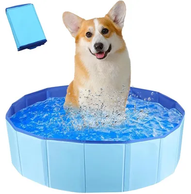 Produktbild von Hundepool Planschbecken Kinderpool - Faltbar - PVC - Rutschfest - 50 x 80 cm - Für kleine Hunde und Katzen