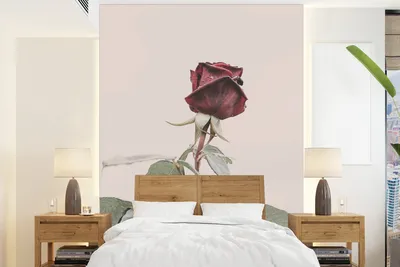 Produktbild von MuchoWow® Fototapete für Wohnzimmer oder Schlafzimmer Wandtapete Vinyl Motivtapete Blumen - Rot - Rosen - Grün - 175x240 cm - Schlafzimmertapete