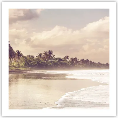 Produktbild von Poster - Poster ohne Rahmen - Palmen Strand Wasser - 60x60 cm - Wand Bild - Wanddeko - Wandbilder - Kunstposter - Wandposter - Bilder - Kunstdruck - Wanddekoration - Wandbild - P2XAC60x60-4917