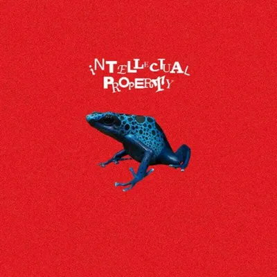 Zdjęcie produktu dla Waterparks - Intellectual Property (Black Vinyl) (LP)