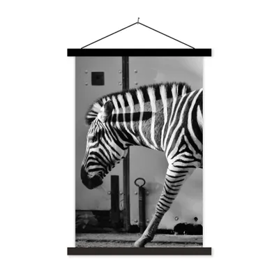 Produktbild von MuchoWow® Textilposter Zebra - Wand - Tür - Tiere - Schwarz und weiß 60x90 cm mit schwarzem Rahmen - Poster Wohnzimmer