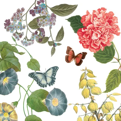 Produktbild von PPD Victoria Garden Servietten, 20 Stück, Tischservietten, Tissue, Weiß / Bunt, 33 x 33 cm, 1331918