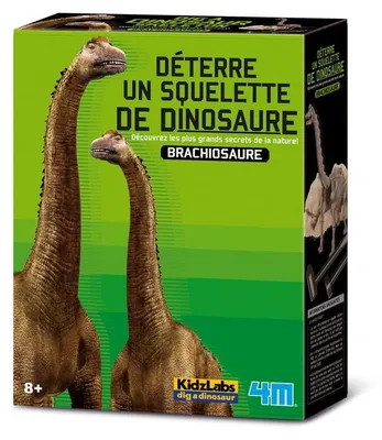 Produktbild von DAM 5663237, 8 Jahr(e), Mehrfarbig