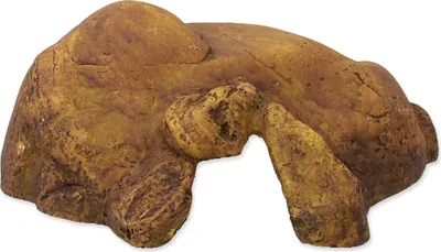 Grotta Per Tartarughe Exo Terra 28x19x39cm - Riparo Naturale Per Terrario, Design Realistico - Foto 7