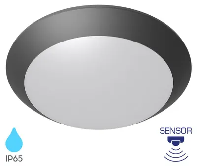 Produktbild von Braytron Außen Deckenleuchte in Anthrazit IP65 Ø265mm – E27 Fassung max.23W – Runde Feuchtraumlampe mit Bewegungsmelder