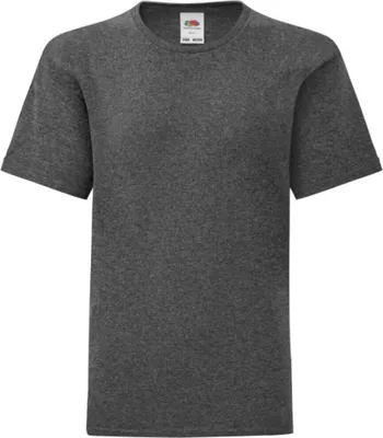Produktbild von Fruit Of The Loom Jungen Iconic T-Shirt PC3388 (140) (Dunkelgrau meliert)
