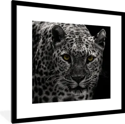 Produktbild von MuchoWow® Gerahmtes Poster Leopard - Schwarz - Weiß 40x40 cm - Poster mit Schwarzem Bilderrahmen Wandposter Rahmen Foto Bilder - Poster - Plakat im Rahmen