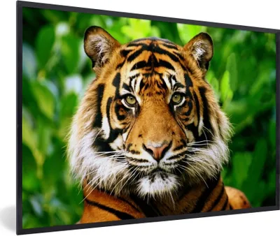 Produktbild von MuchoWow® Gerahmtes Poster Tiger - Kopf - Wald 90x60 cm - Poster mit Schwarzem Bilderrahmen Wandposter Rahmen Foto Bilder - Fotorahmen - Foto-Plakat