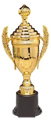 Productafbeelding van Trofee Beker voor Deelname aan Wedstrijden