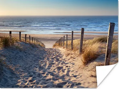 Produktbild von MuchoWow® Poster Strand - Meer - Niederlande - Dünen - Sonne 120x90 cm - Wandbild