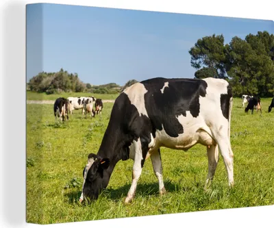 Produktbild von OneMillionCanvasses® - Leinwandbilder - 150x100 cm, Kuh - Gras - Tiere - Wald, Wandbilder Kunstdruck Wanddekoration
