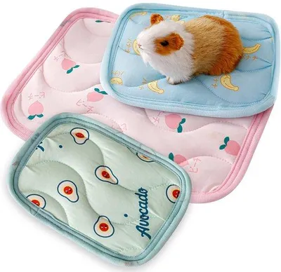 Produktbild von Tierbettmatte - Weich und Kühlendes Tierbett - 30 x 20 x 2 cm