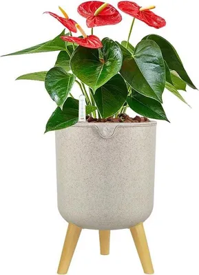 Image de Pot de sol en plastique avec paniers à fleurs, indicateur de niveau d'eau et système d'arrosage automatique - idéal pour les plantes d'intérieur - hauteur : 203 cm