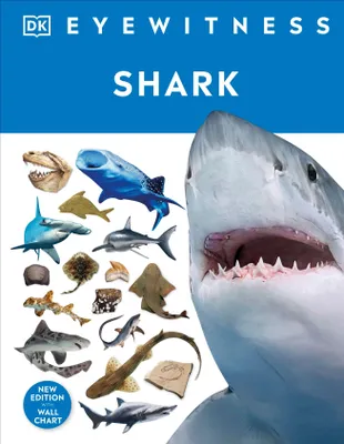 Produktbild von Shark – Lingua: Inglese