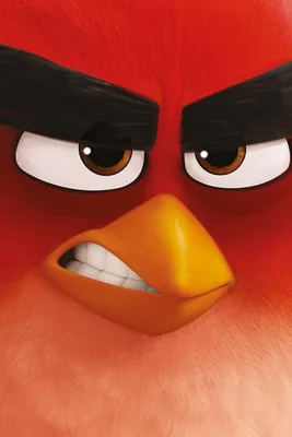 Produktbild von Angry Birds - Red - Videospiel Film - Poster Druck - Größe 61x91,5 cm