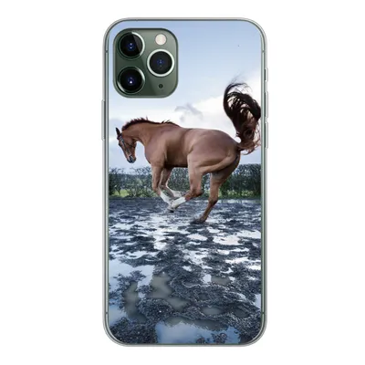 Produktbild von MuchoWow® Handyhülle Schutzhülle Hülle für iPhone 11 Pro Ein bockendes Pferd in den Pfützen Silikon Softcase Handy Hülle - Handy