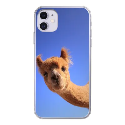 Produktbild von MuchoWow® Handyhülle Schutzhülle Hülle für iPhone 11 Alpaka - Braun - Blau Silikon Softcase Handy Hülle - Handytasche