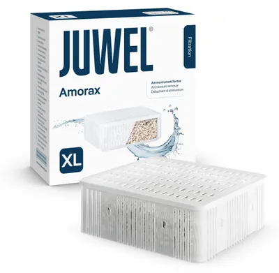 Obrázok produktu pre Amorax XL (Jumbo) - Détartrant à l'ammoniaque