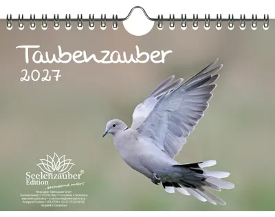 Produktbild von Taubenzauber DIN A5 Kalender für 2027 Vogel - Seelenzauber