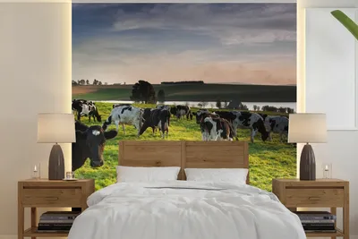 Produktbild von MuchoWow® Fototapete für Wohnzimmer oder Schlafzimmer Wandtapete Vinyl Motivtapete Kuh - Gras - Sonnenuntergang - 350x350 cm - Schlafzimmertapete
