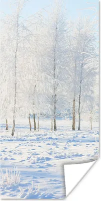 Produktbild von MuchoWow® Poster Schnee - Bäume - Winter 75x150 cm - Dekoration für die Wände
