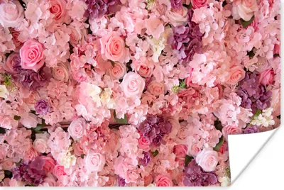 Produktbild von MuchoWow® Poster Blumen - Rosa - Rosen 120x80 cm - Bilder