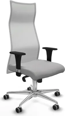 Produktbild von Bürostuhl Piqueras y Crespo B1C086G Hellgrau