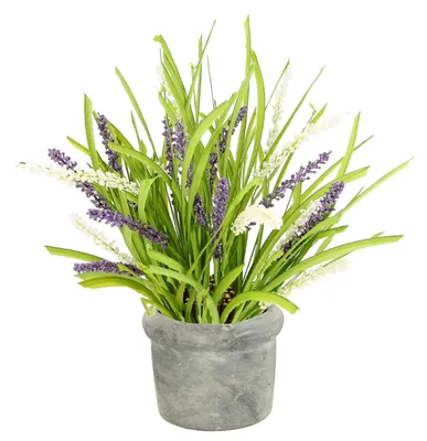 Produktbild von Künstlicher Lavendel im Topf – Kunstpflanze mit Blüten, ca. 43 x 26 x 22 cm