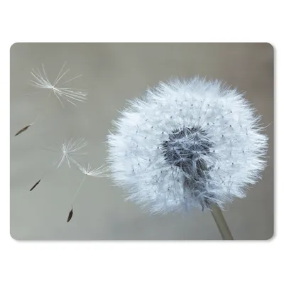 Produktbild von MuchoWow® Mauspad Mousepad Löwenzahn - Blume - Pflanze 23x19 cm - Mousepads - Maus Mat - Pad - Mausunterlage - Schreibtischunterlage - Mauspad