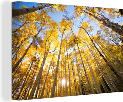 Zdjęcie produktu dla OneMillionCanvasses® - Obraz na płótnie - 150x100 cm, Jesień - Drzewa - Las, dekoracja ścienna z nadrukiem