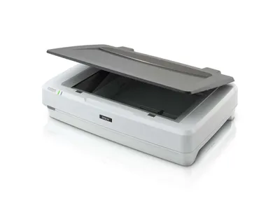 Image de Scan Epson WorkForce 12000XL A3